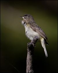 057-20120614_rgs_5047