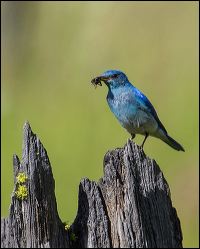 046-20160608_rgs_2752
