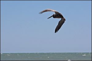 img_4104