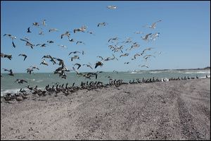 img_4142