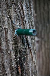 034-20120702_rgs_9149
