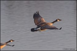 05_20111213_rgs_6376