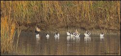 12_20111213_rgs_6404