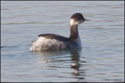 19_20111213_rgs_6450