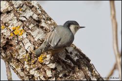 07_20120115_rgs_7490