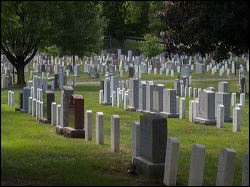 024-20150828_rgs_0067