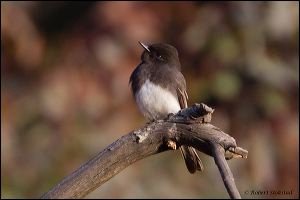 20111206_rgs_6197