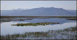 img_4871