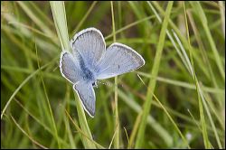 img_4938a