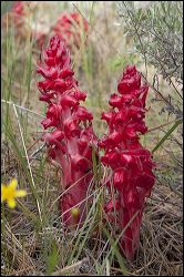 img_4942a