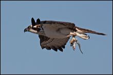 img_3277a