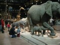 Our first full day, we went to the Museum of Natural History. It was absolutely fantastic! We spent something like four hours in there. Erika loved the March of the Animals in the main hall.