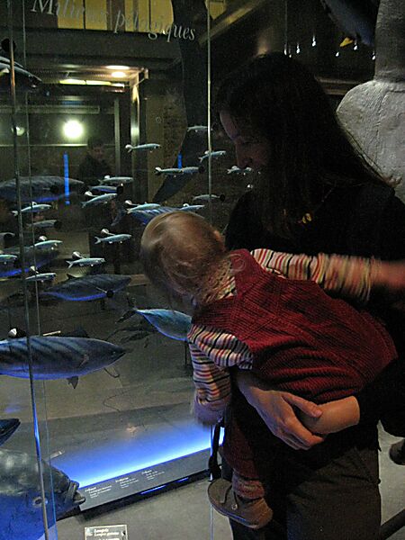 There were four or five floors. The basement contained all the marine life.