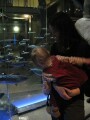 There were four or five floors. The basement contained all the marine life.