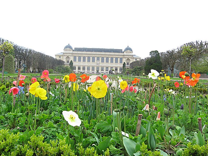 Spring in Paris! That is the Natural History Museum we were in in the background.