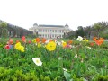 Spring in Paris! That is the Natural History Museum we were in in the background.